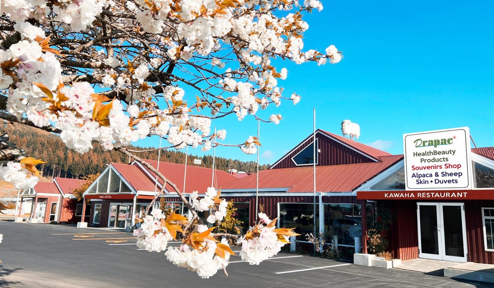 Awa Hotel Distretto di Distretto di Rotorua Esterno foto